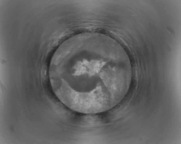 X0000090620615200708071226