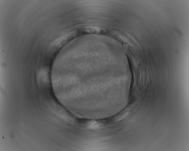 X0000090620616200708071226