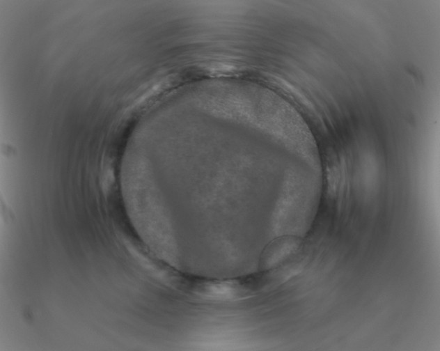 X0000090620618200708071226