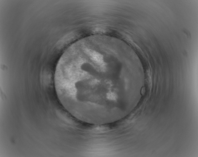 X0000090620619200708071226