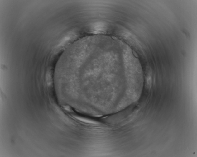 X0000090620620200708071226