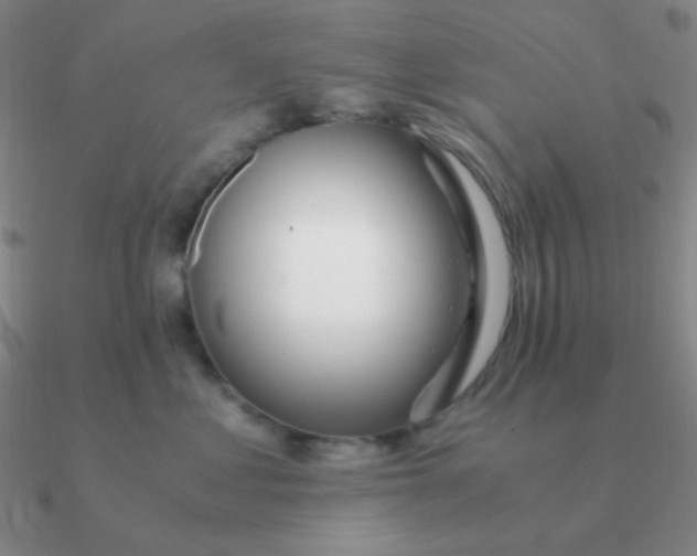 X0000090620621200708071226