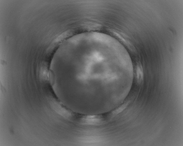 X0000090620622200708071226