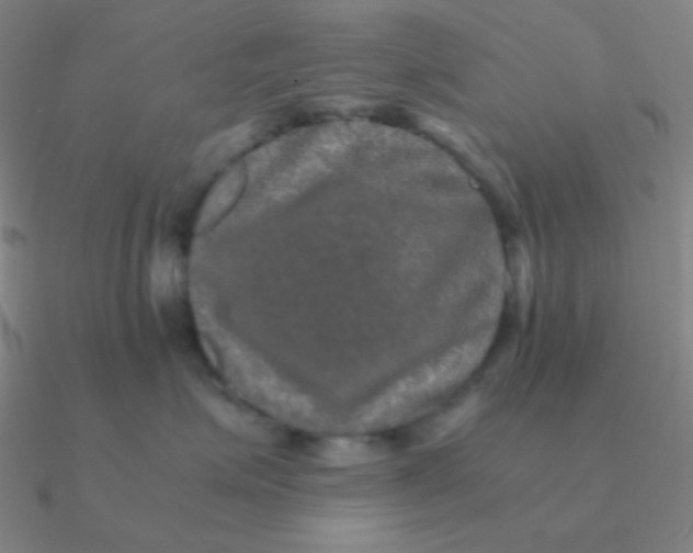 X0000090620623200708071226