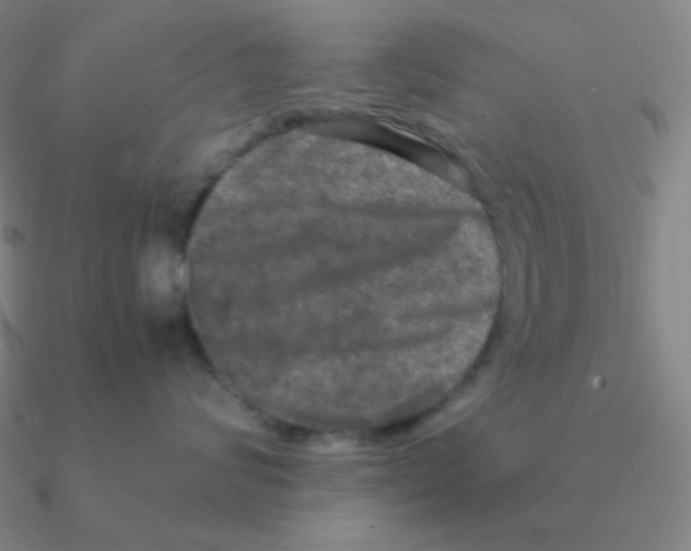 X0000090620624200708071226