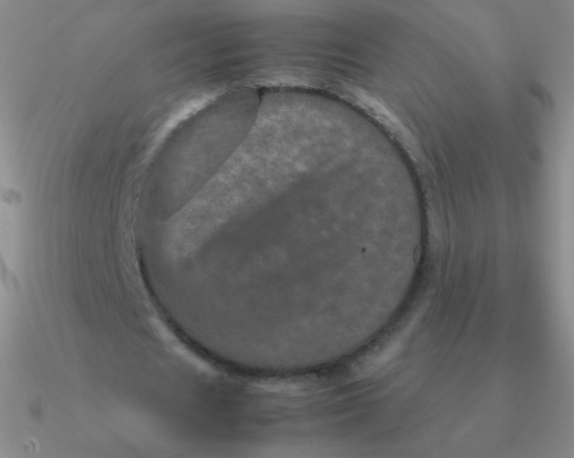 X0000090620625200708071225