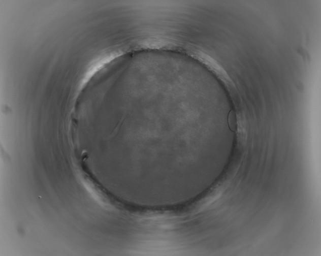 X0000090620626200708071225