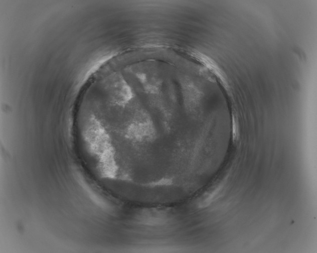 X0000090620627200708071225