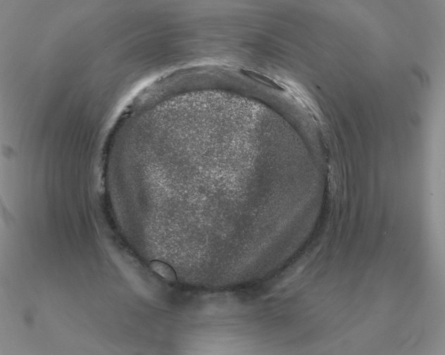 X0000090620628200708071225