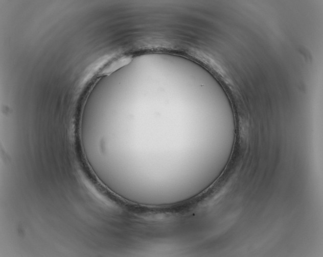 X0000090620629200708071225