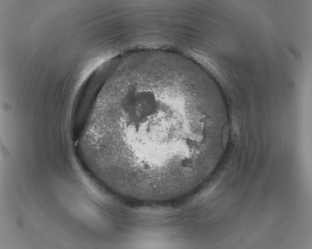 X0000090620630200708071225