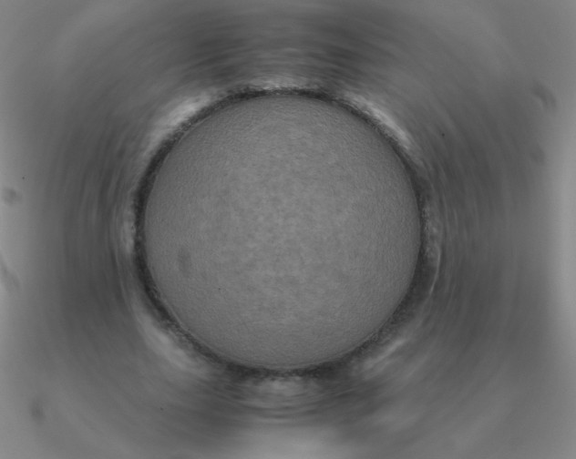 X0000090620631200708071225