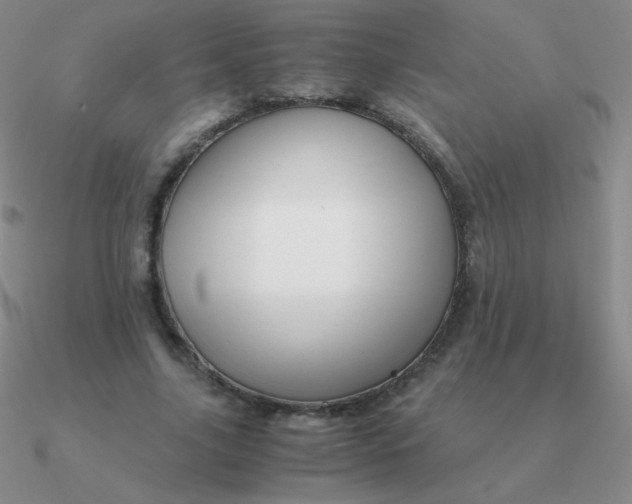 X0000090620635200708071225