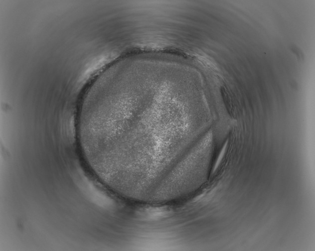 X0000090620638200708071225