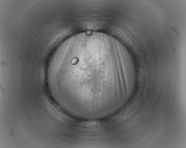 X0000090620639200708071225