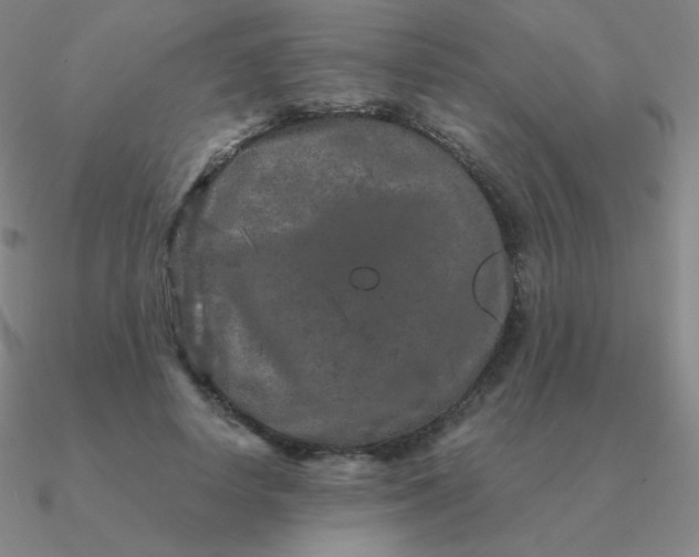 X0000090620642200708071225