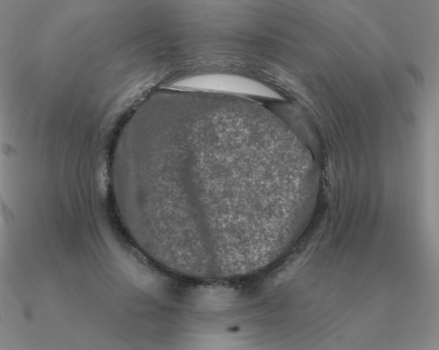 X0000090620644200708071225