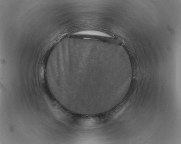 X0000090620646200708071225