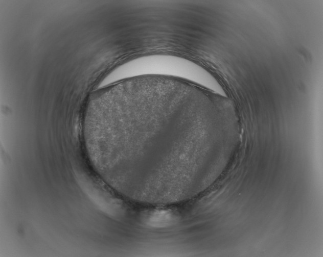 X0000090620647200708071225