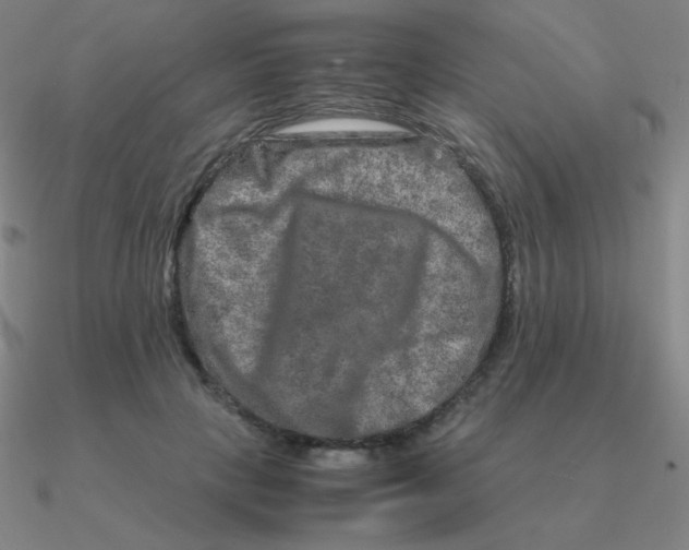 X0000090620649200708071225