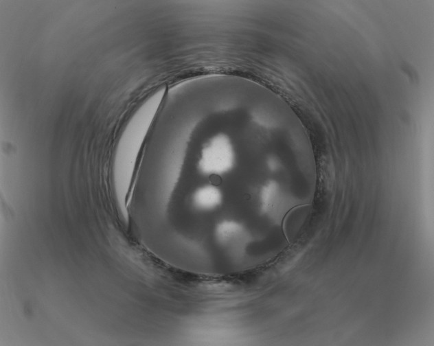 X0000090620650200708071225