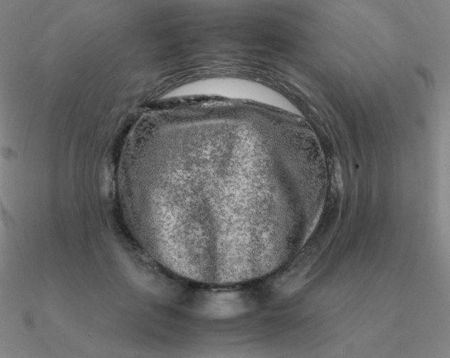 X0000090620651200708071226