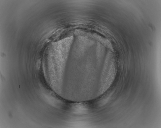 X0000090620652200708071226