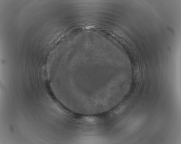 X0000090620654200708071226