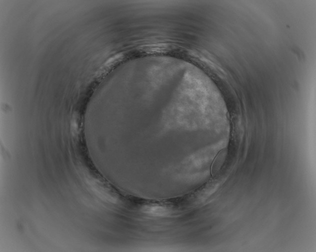 X0000090620655200708071226