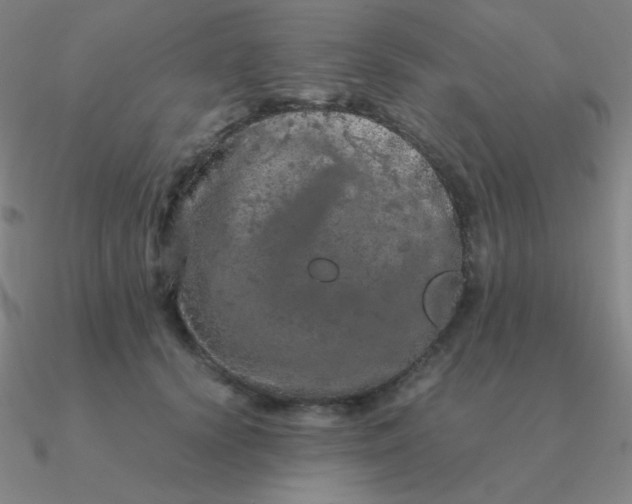 X0000090620656200708071226