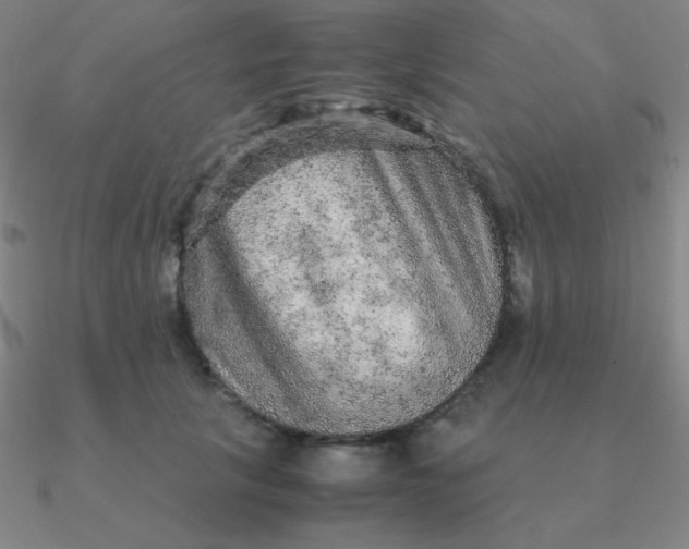 X0000090620657200708071226