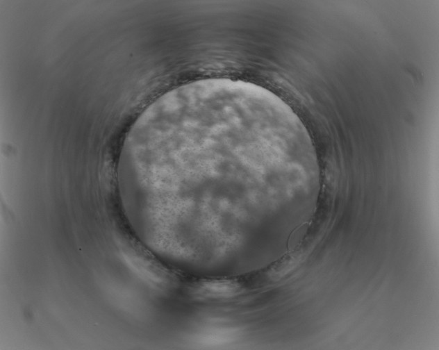 X0000090620659200708071226