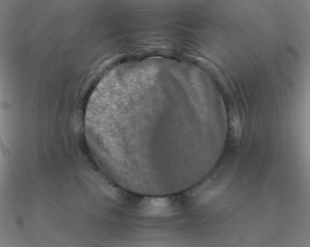 X0000090620665200708071226