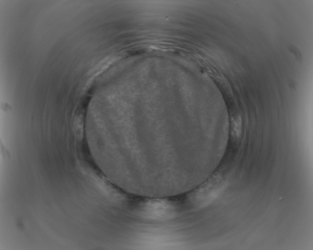 X0000090620666200708071226