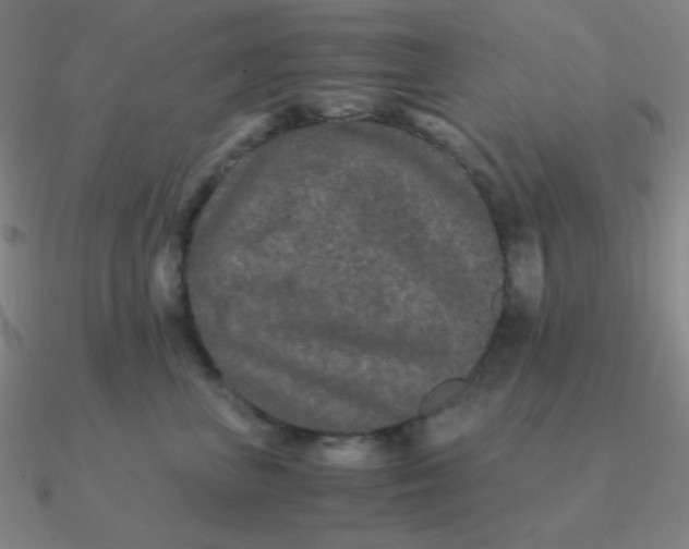 X0000090620667200708071226