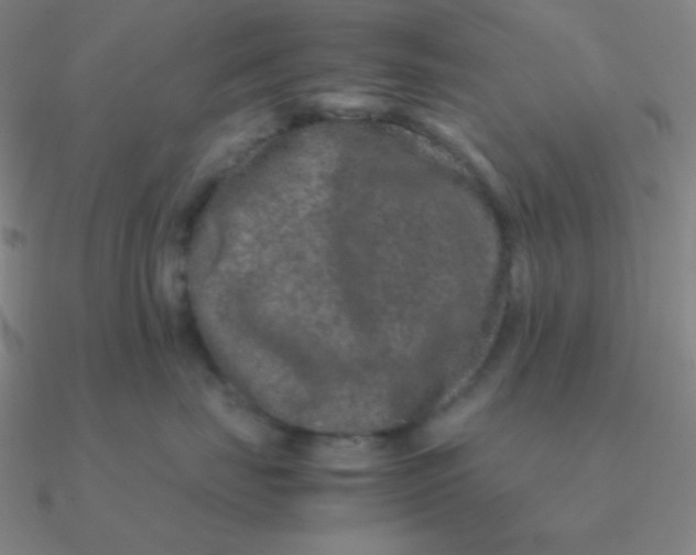 X0000090620671200708071226