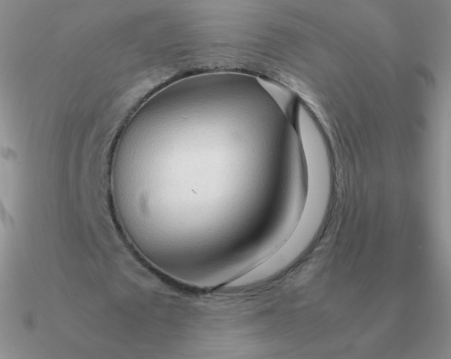 X0000090620673200708071225