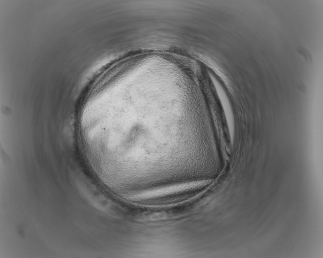 X0000090620675200708071225