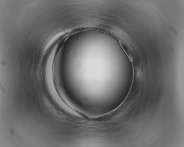 X0000090620676200708071225