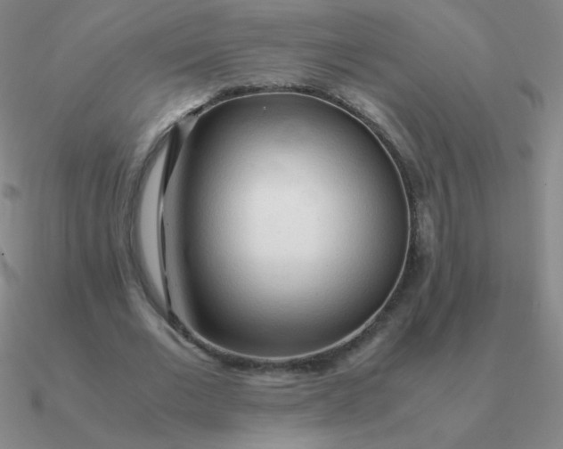 X0000090620677200708071225