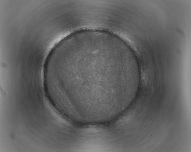 X0000090620678200708071225