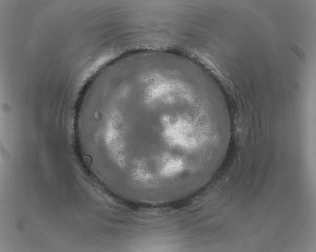 X0000090620679200708071225