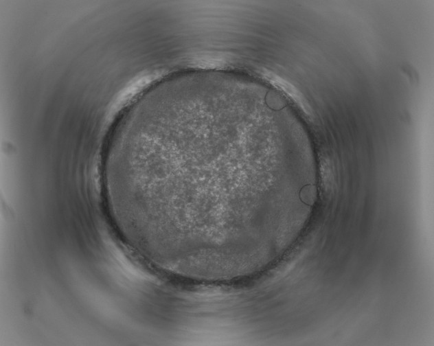 X0000090620682200708071225