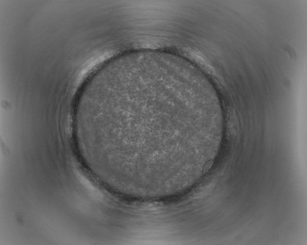 X0000090620683200708071225