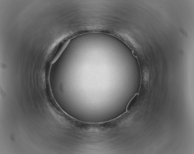 X0000090620684200708071225