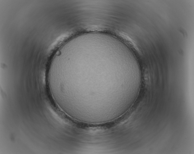 X0000090620686200708071225