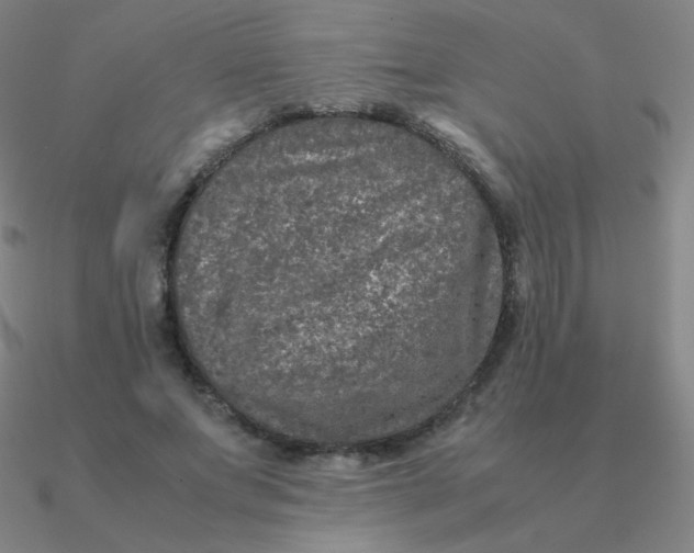 X0000090620687200708071225