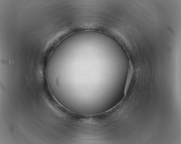 X0000090620688200708071225