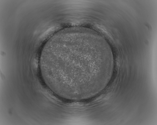 X0000090620691200708071225