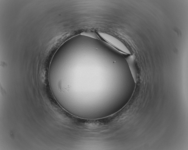 X0000090620693200708071225